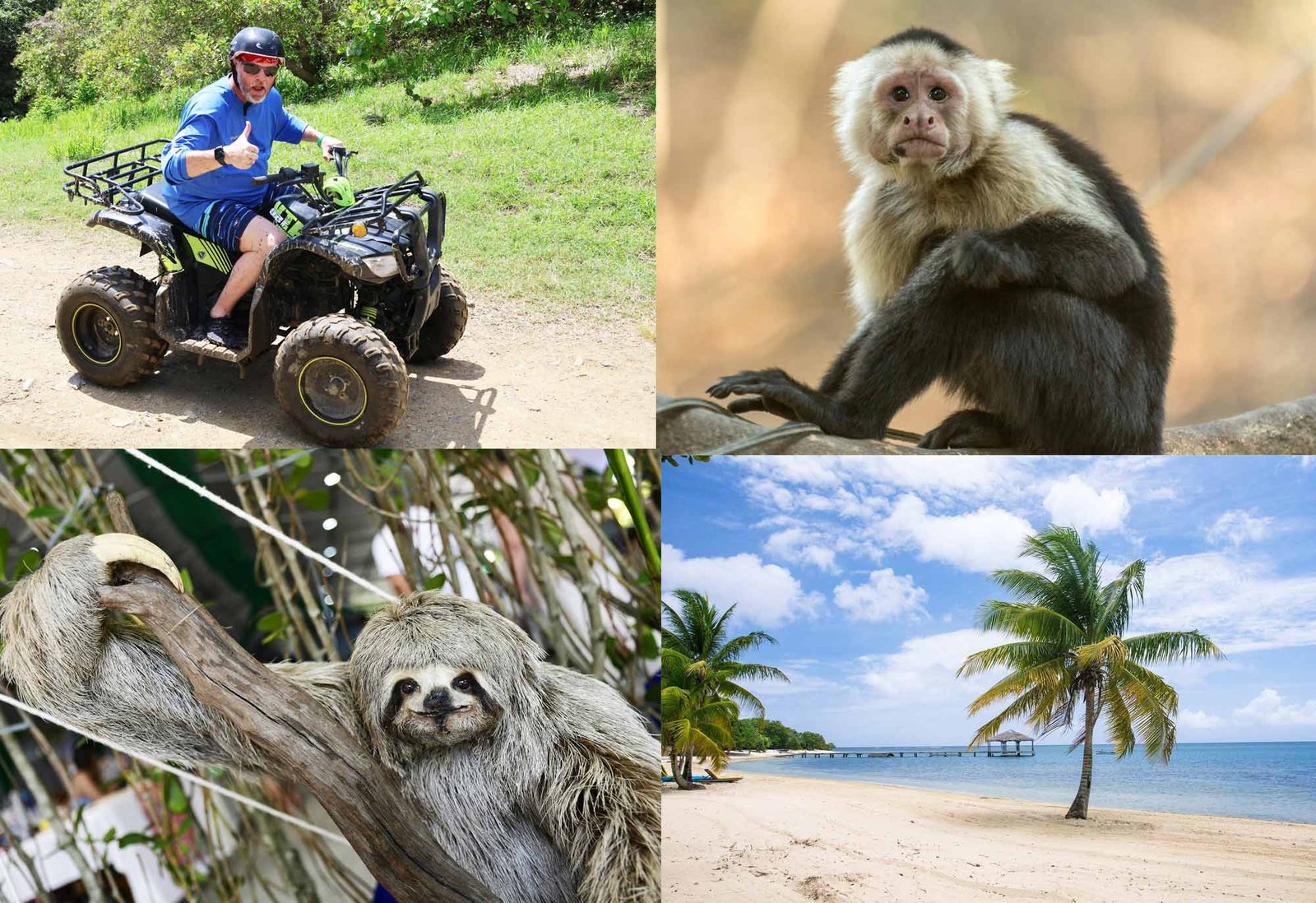 Roatan Oak Tree Tours | Unforgettable Island Adventures