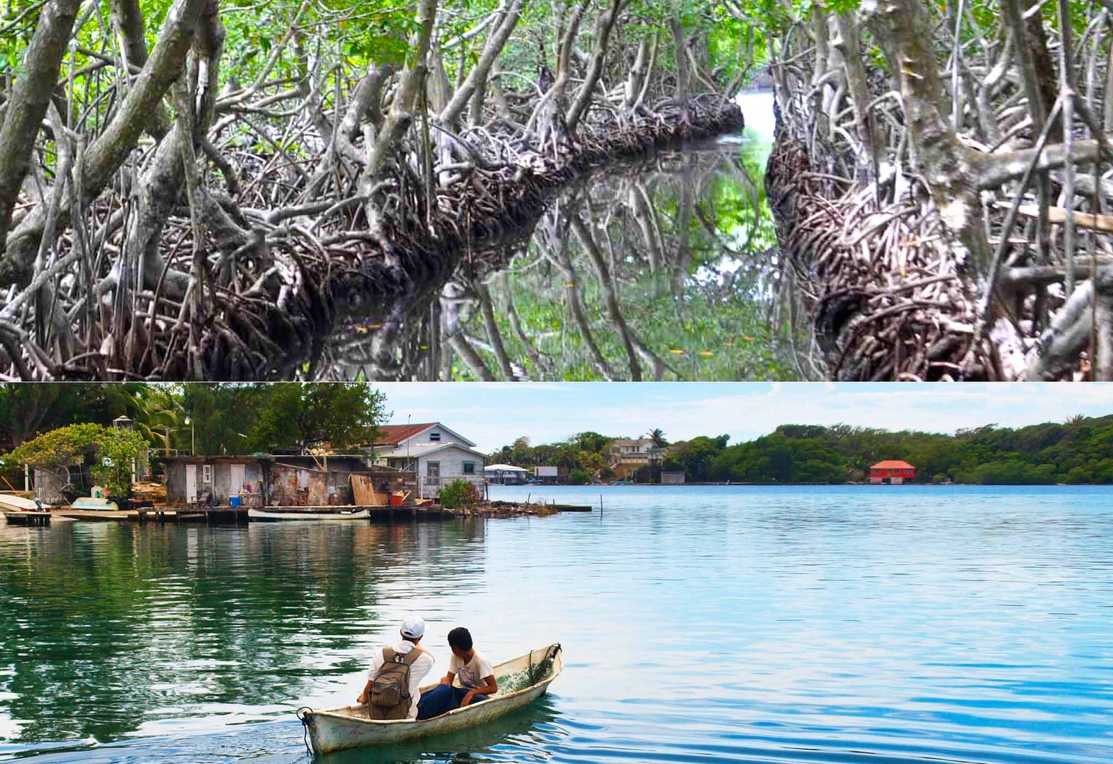 Roatan Oak Tree Tours | Unforgettable Island Adventures