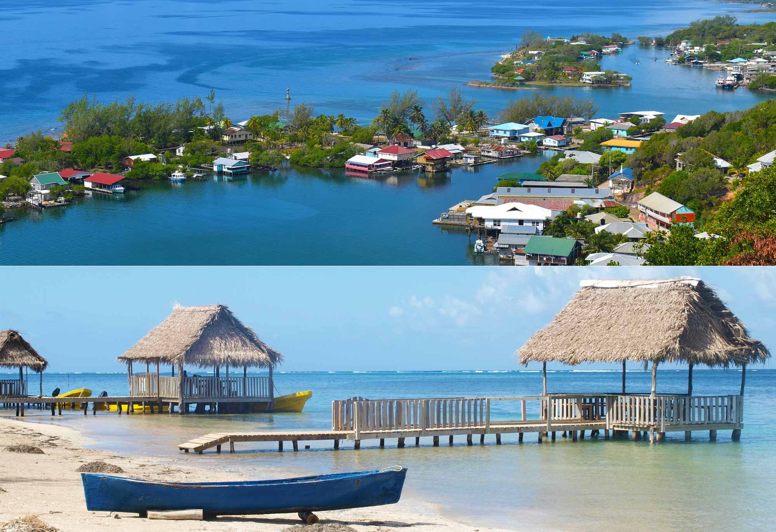 Roatan Oak Tree Tours | Unforgettable Island Adventures