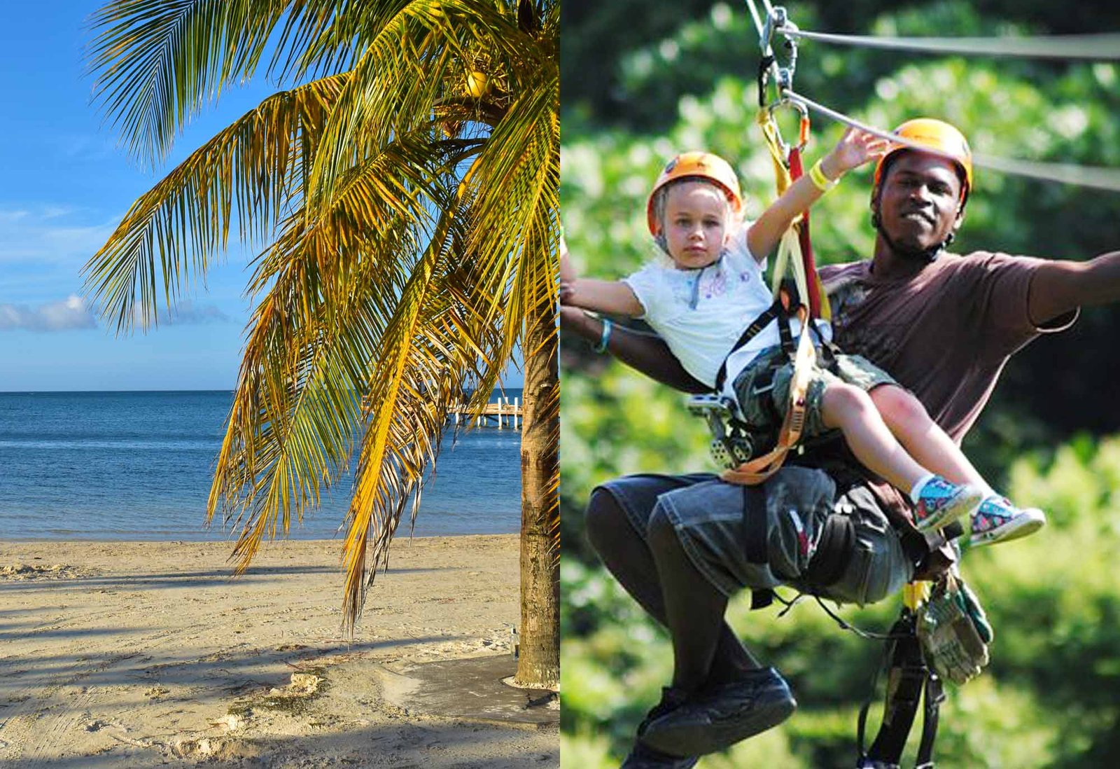 Roatan Oak Tree Tours | Unforgettable Island Adventures